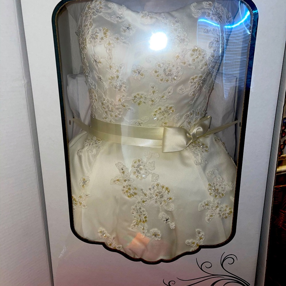 Preserved wedding dress